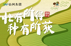 芒種時(shí)節(jié)，云網(wǎng)人以耕耘赴未來(lái)